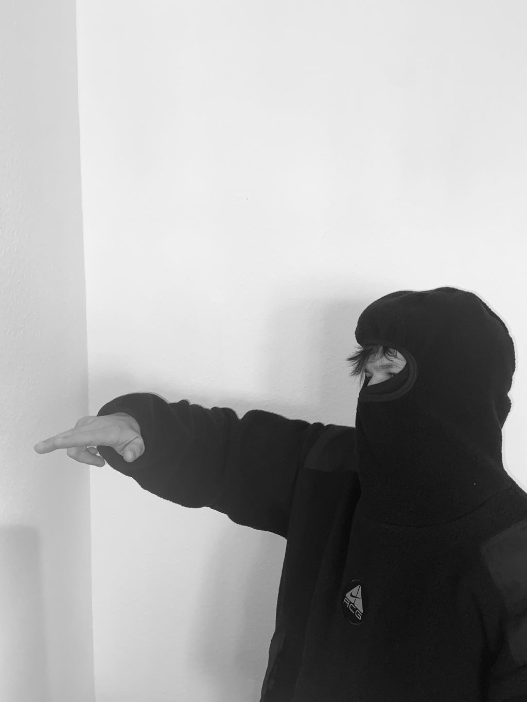 Nike ACG Ninja Hoodie (L)